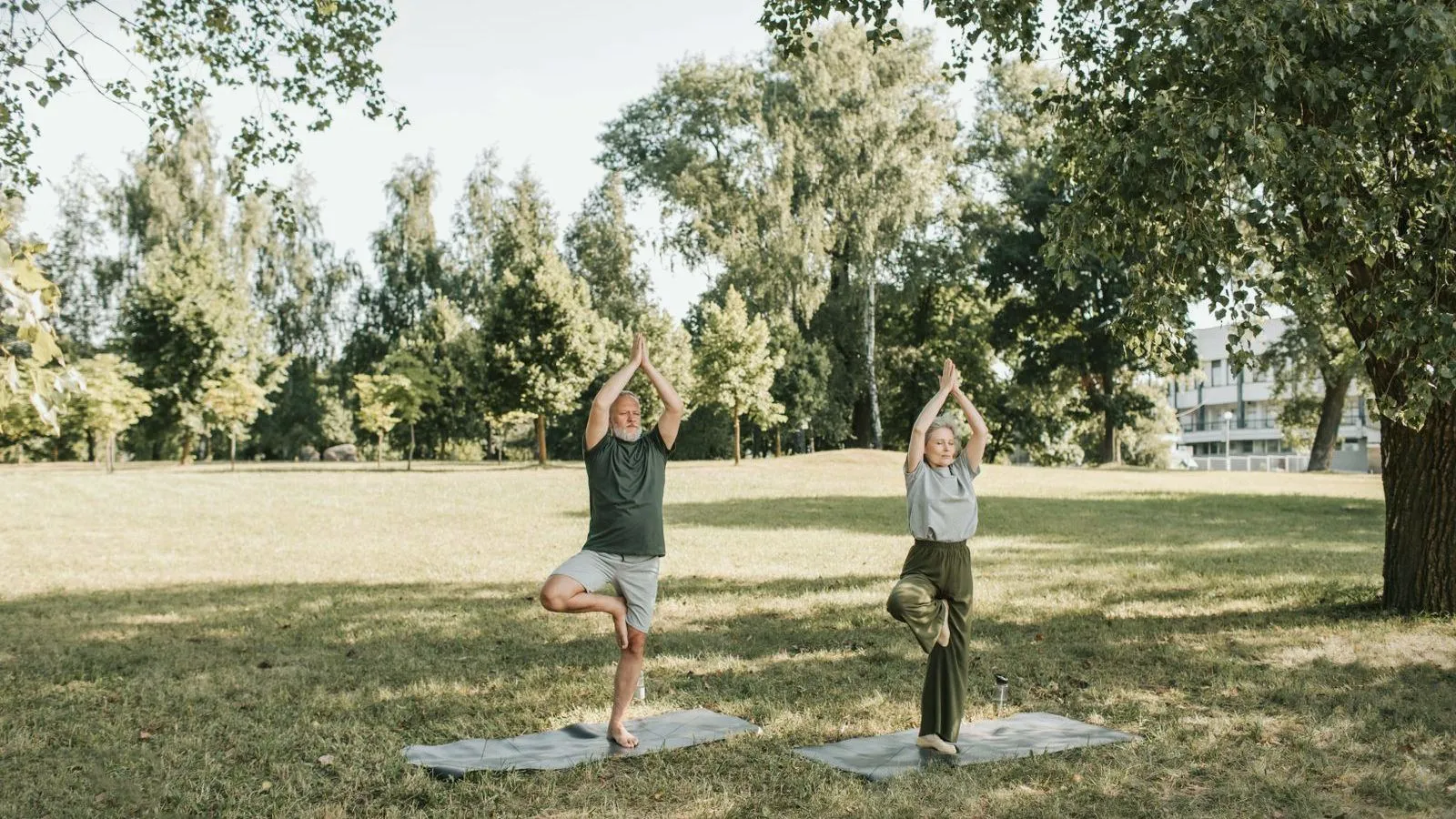 Two older adults in tree pose on separate mats on a sunlit park lawn, each balanced on one foot with palms pressed overhead