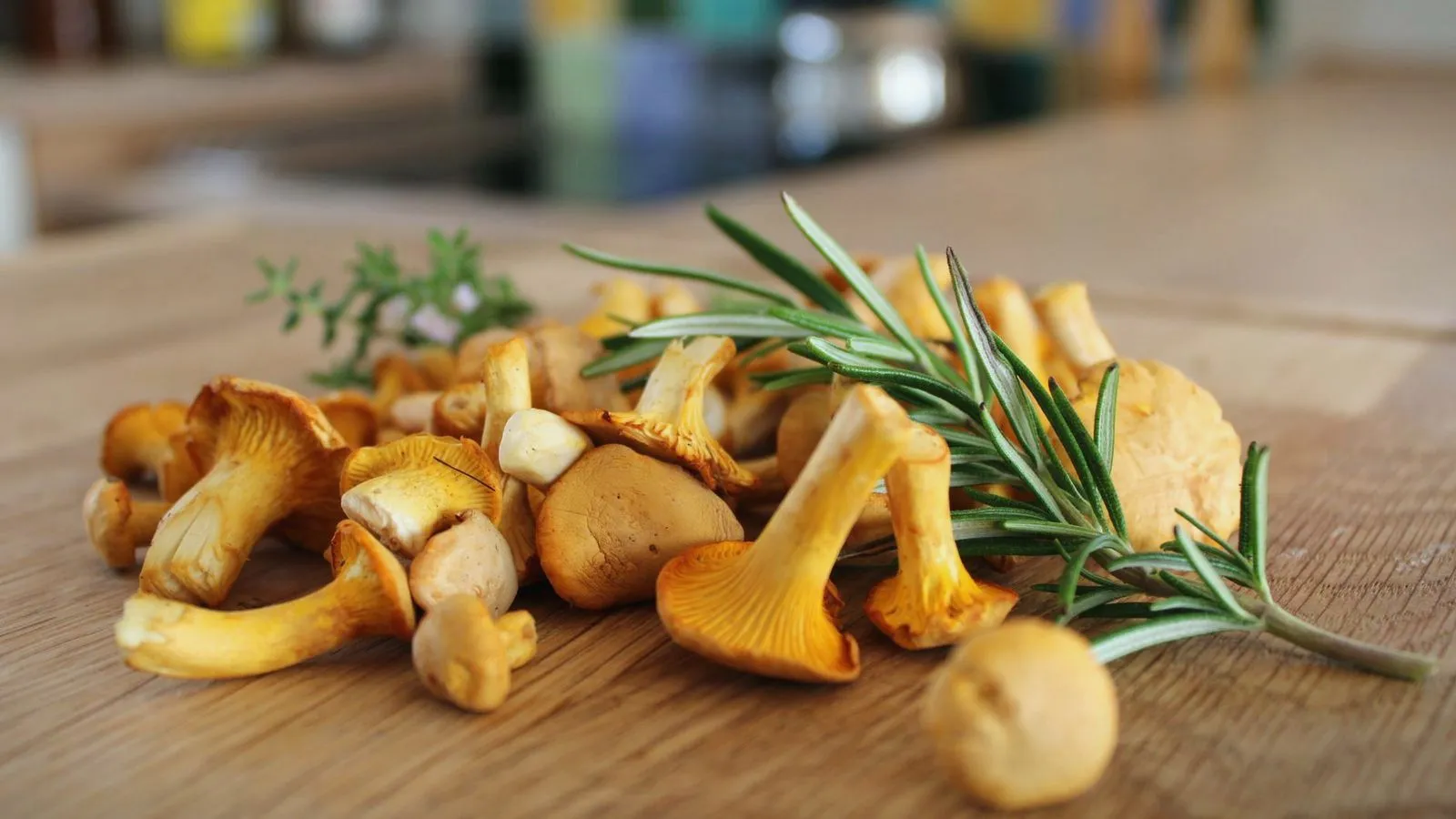 Fresh chanterelle mushrooms and rosemary sprigs on a wooden board