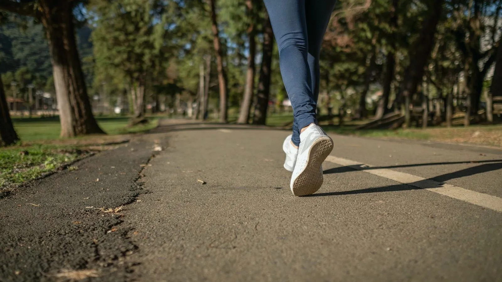 A low shot from behind of a walker's legs and white trainers mid-stride on a tree-lined tarmac park path