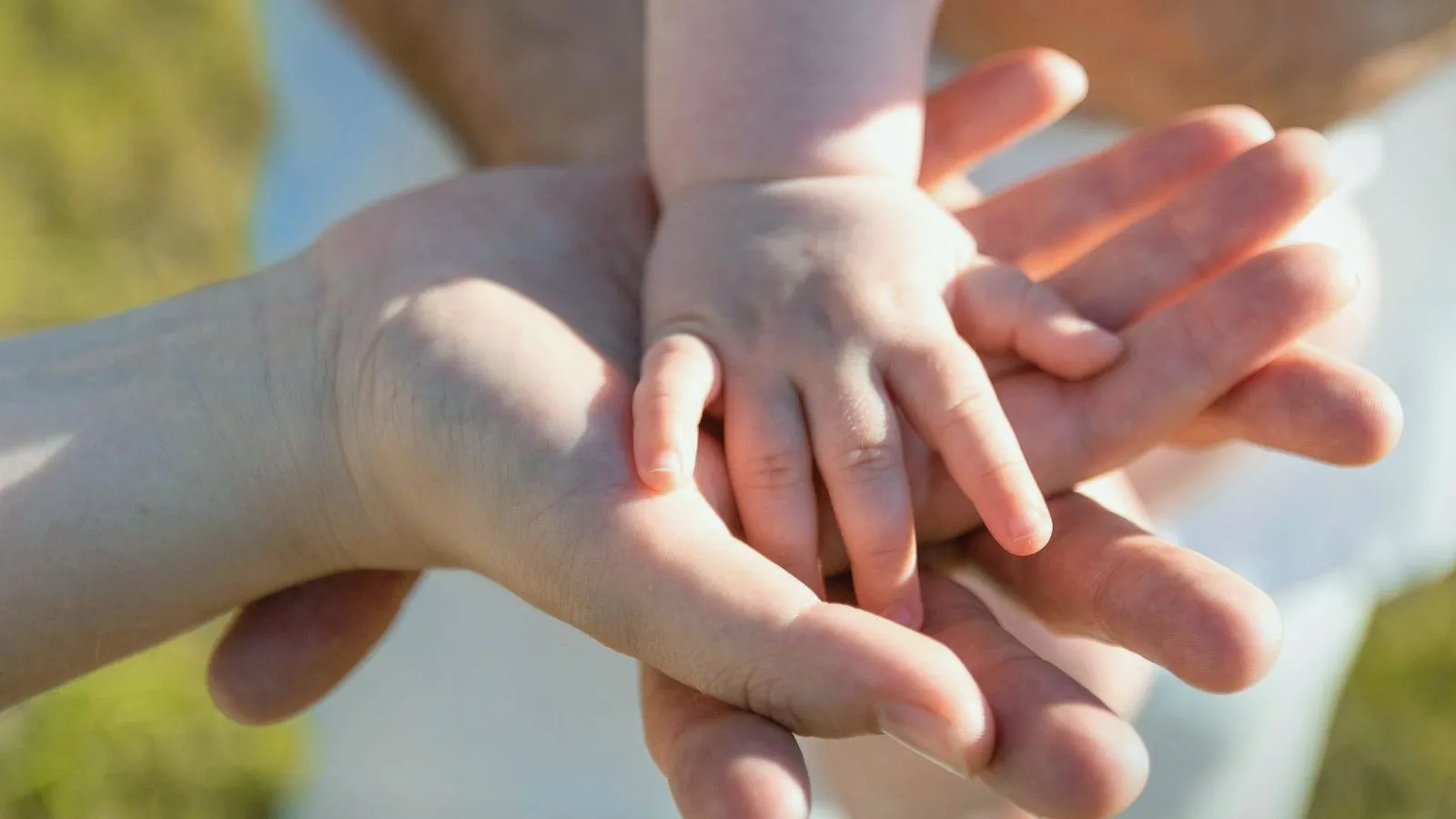 A baby's hand resting in an adult's open palms