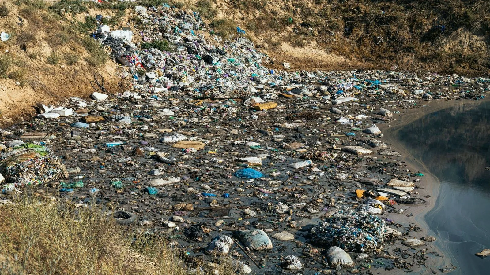 Plastic waste and debris strewn along a polluted riverbank