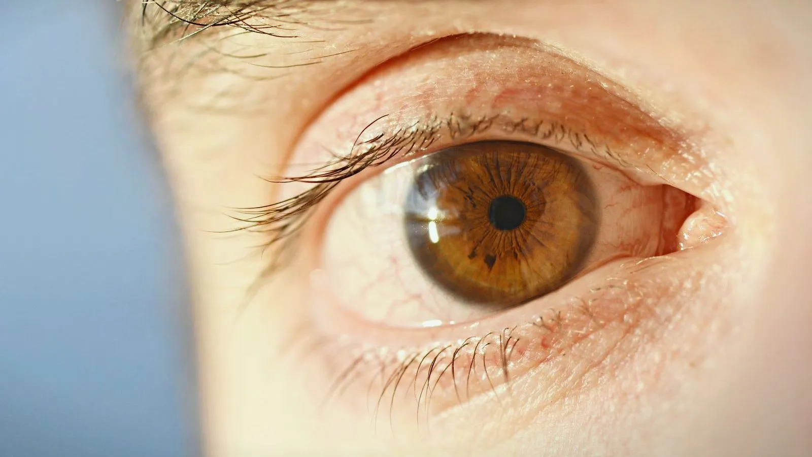 A close-up of an older person's brown eye